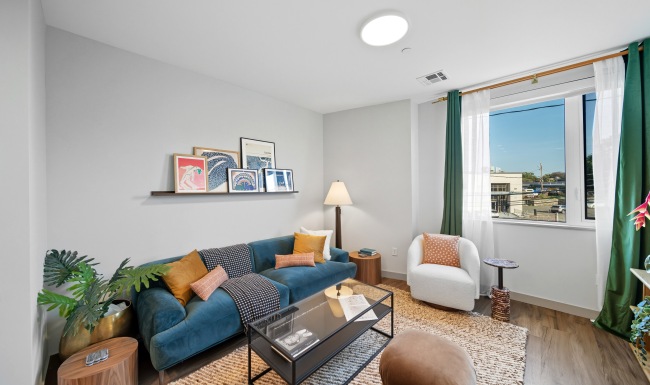 sofa window and window treatments