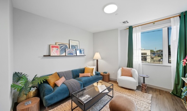 sofa window and window treatments